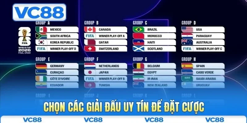 Chọn các giải đấu uy tín để đặt cược